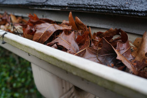 AAA Gutter Services Cleaning