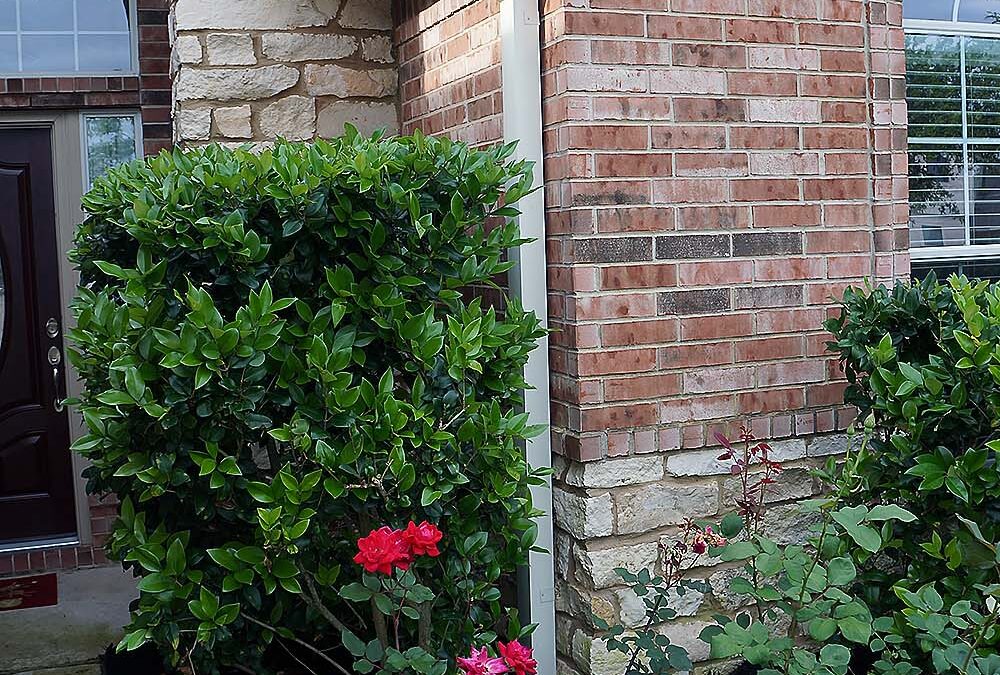 Box-DownSpout-Gutters-DSC09474